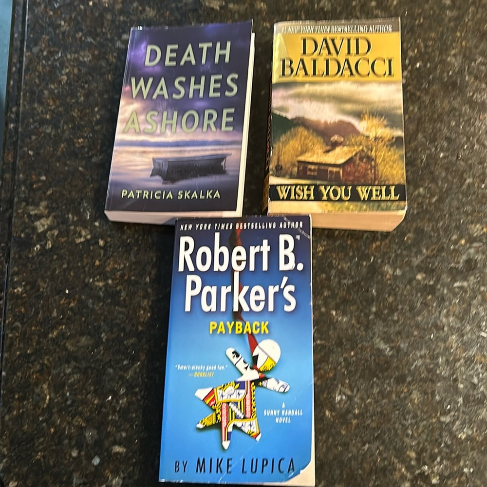 Adult 3 book lot, Lies In The Sand, Wish You Well, Payback